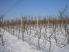 p1230504.jpg
